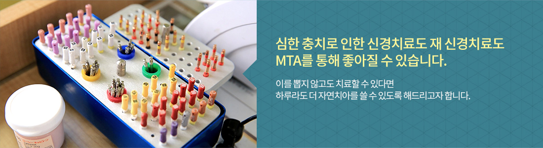 MTA 신경치료