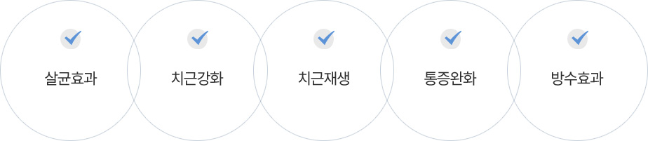 MTA 신경치료