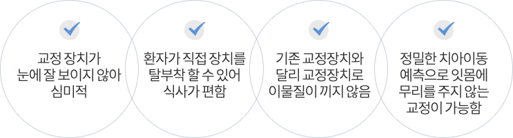 티안나는 투명교정